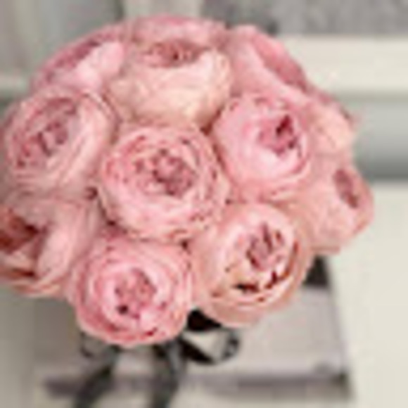 Meet your Posher, Nancy - Picture 1 of 1